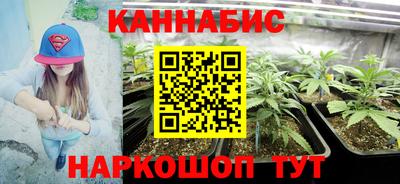 стаф Рязань
