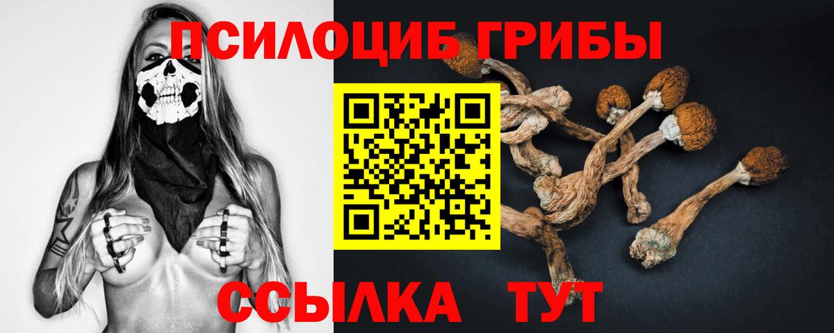 Псилоцибиновые грибы прущие грибы Реутов